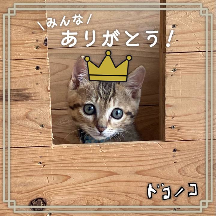 E8ca82e2 a564 4b68 a9fe e9029a77631b 1622863419433