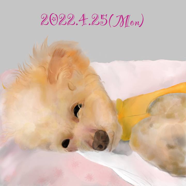 E8ca86a0 1ca0 4f45 9d69 5dc0c5ad096d 1650890426033