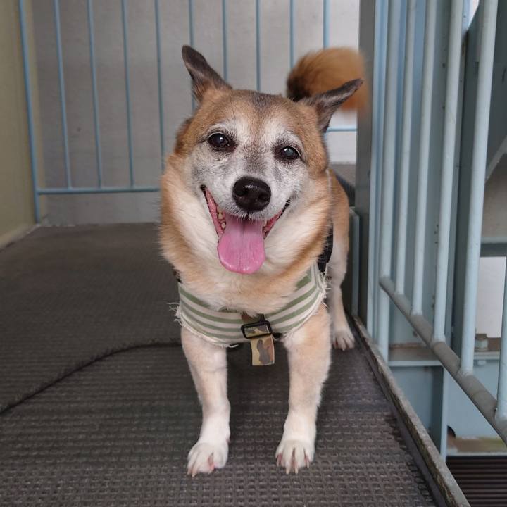 E8ca8b6e f877 40a7 9658 0f91ea7d0e9b 1619787481863