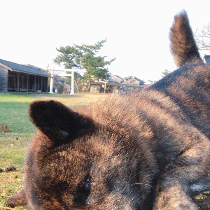 E8caa7ba c9c8 4d57 a326 57be9fb192f0 1521973731145