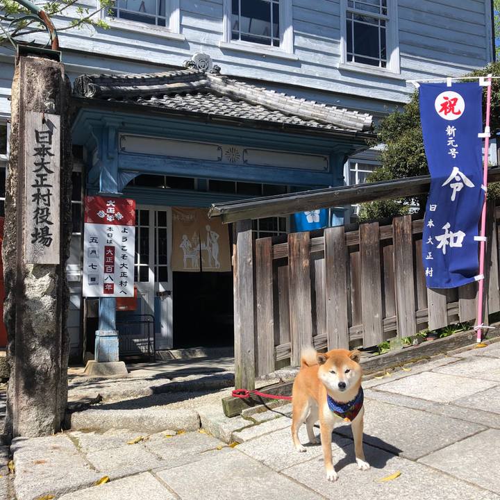 E8caacf1 9a38 4b7a 91ae f9d3e4517550 1557219841854