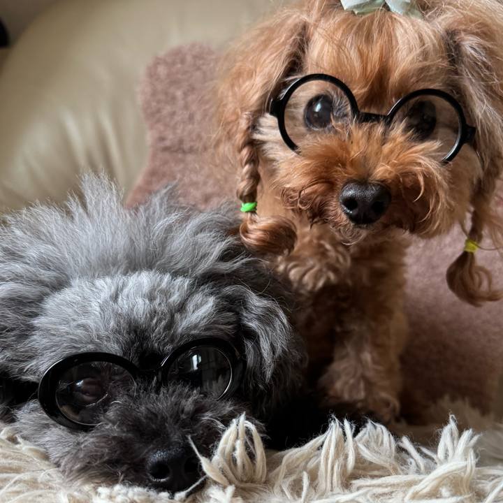 E8cac6b9 47ab 4c31 8637 292841b64831 1759275681025