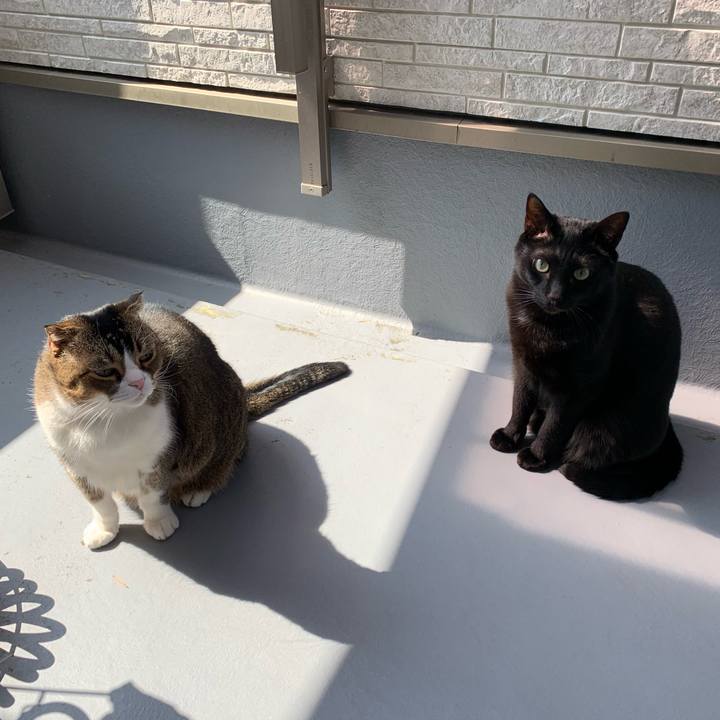 E8cae540 7bbf 484f 8a81 41ca54944304 1615777983648