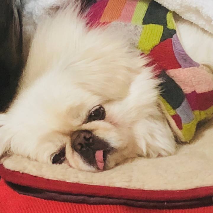 E8caed5f 4ebb 4f69 add2 03e797928e77 1577018150826