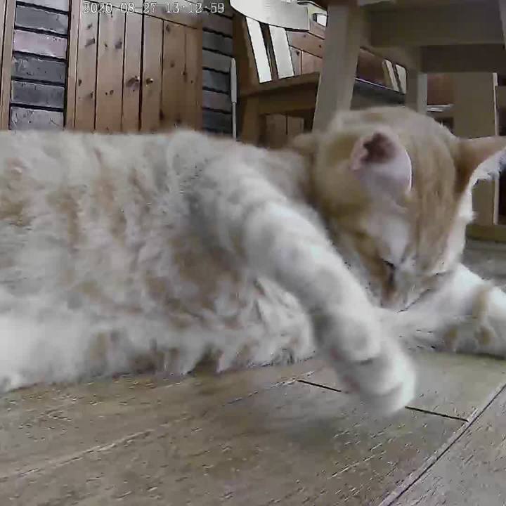 E8cb05c6 d26f 4c26 99cc df72d09dbe8b 1598507086962