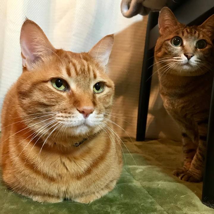 E8cb0f68 3cd2 4f6d b7c5 4da184b7601a 1516714820366