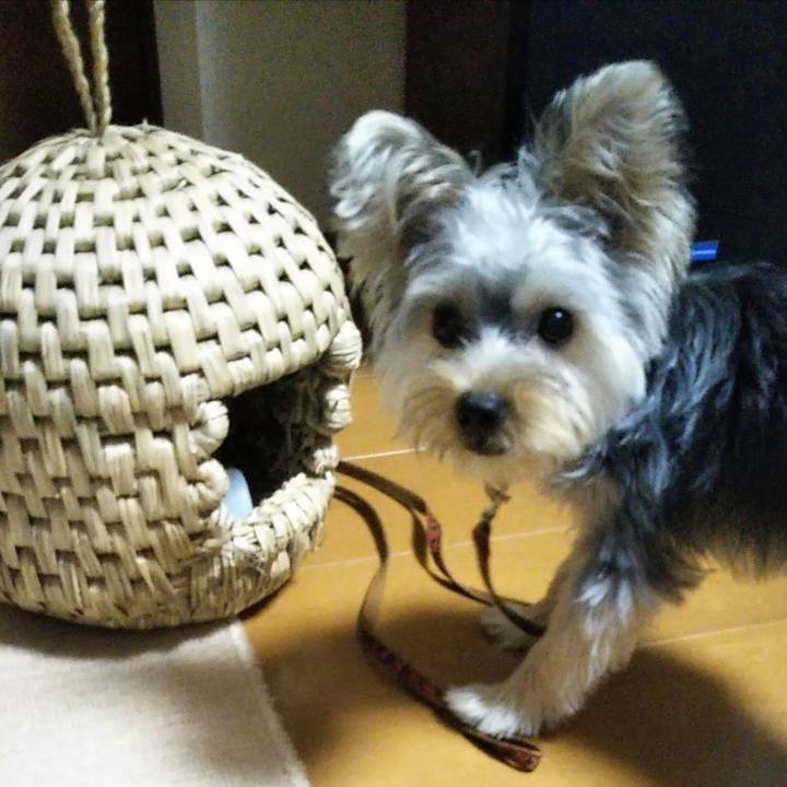 E8cb22f1 903b 4f37 988e 3a18e3b85db1 1538822972915