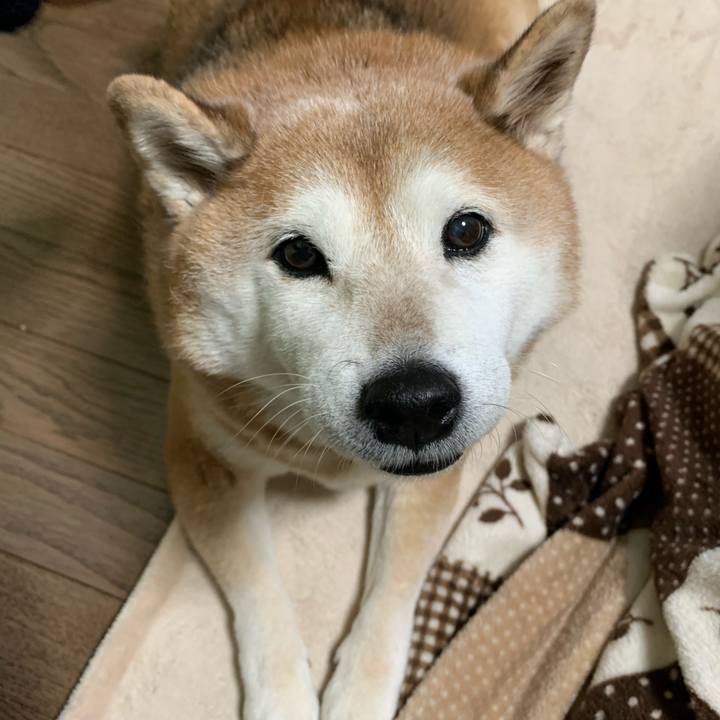 E8cb29fc fac4 4f7f 8115 da613ea07923 1575420321986