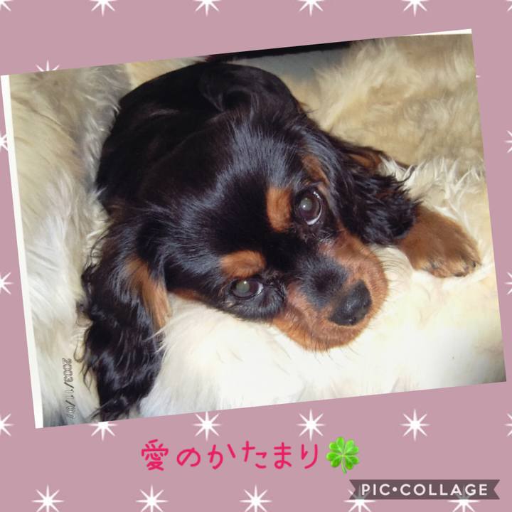 E8cb64ff 9127 4cb6 ab0a 1c367c8559f4 1548767959463