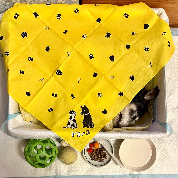 E8cbb376 ffa5 4dfd a344 f9cd4b643ea6 1659457364290