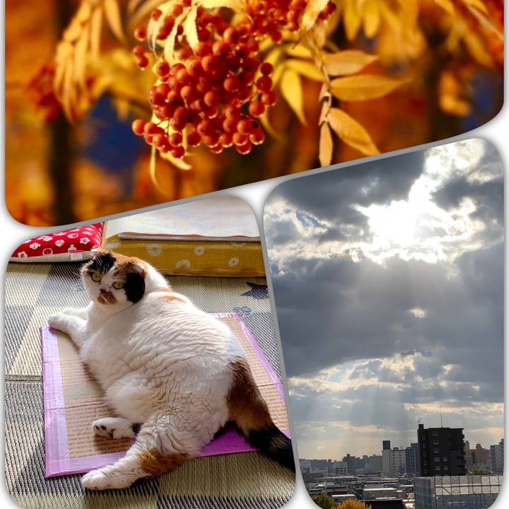 E8cbe4a3 c044 4681 831d 00909a81ce70 1604534201087