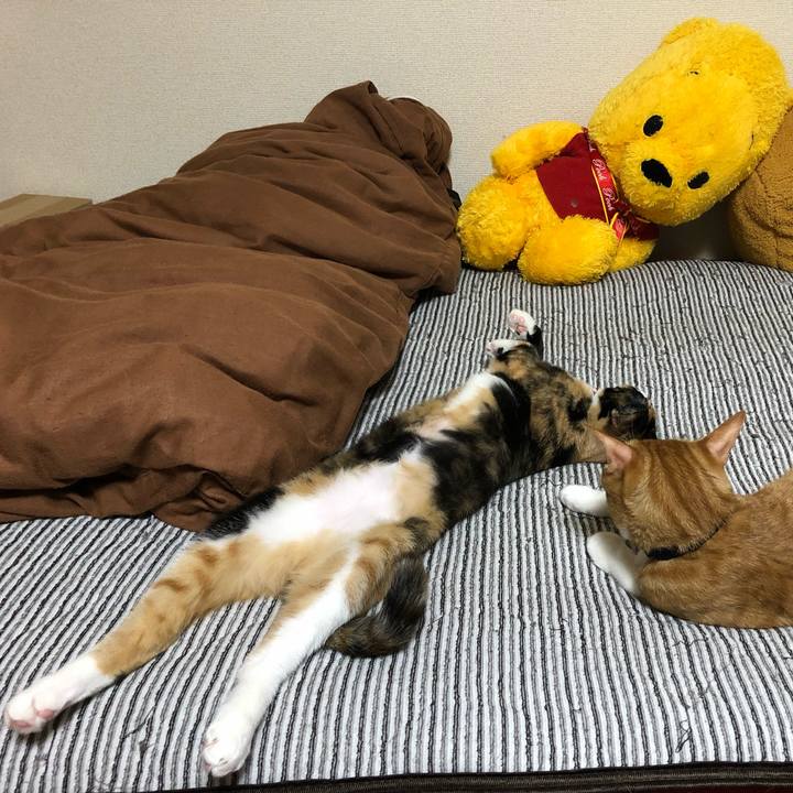 E8cbefab 2d22 40c1 b375 9662796d468e 1566986450947