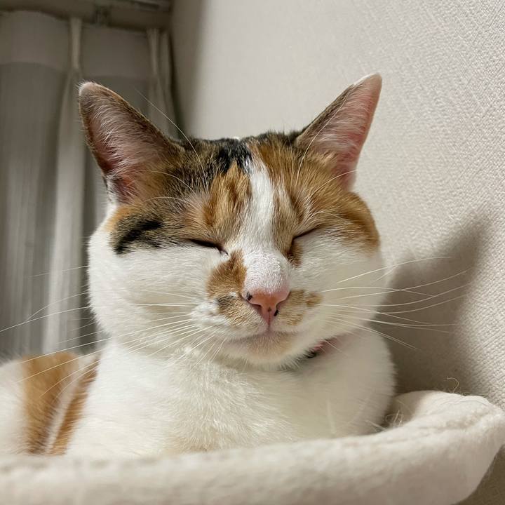 E8cbf769 df22 4a3e b1f5 0e55f0556507 1616247306872