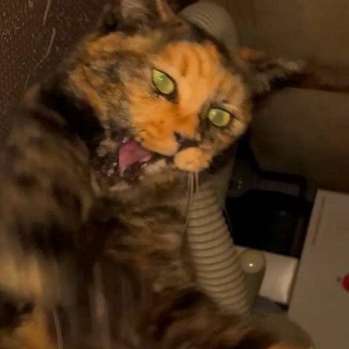 E8cc1274 acb5 4029 9020 64bc48be6fd1 1757884224713