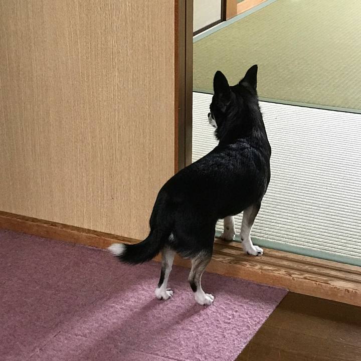 E8cc26f8 f4f3 4017 8e00 0334d2a315e3 1510044120818