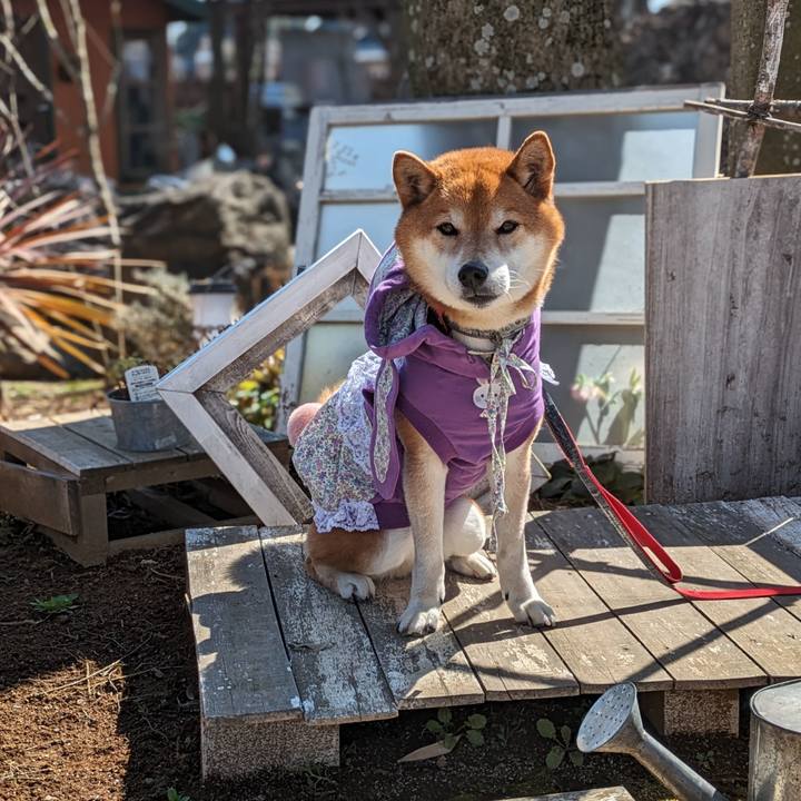 E8cc4acc 36b7 42cc a93a 8c8976ede199 1710137477644