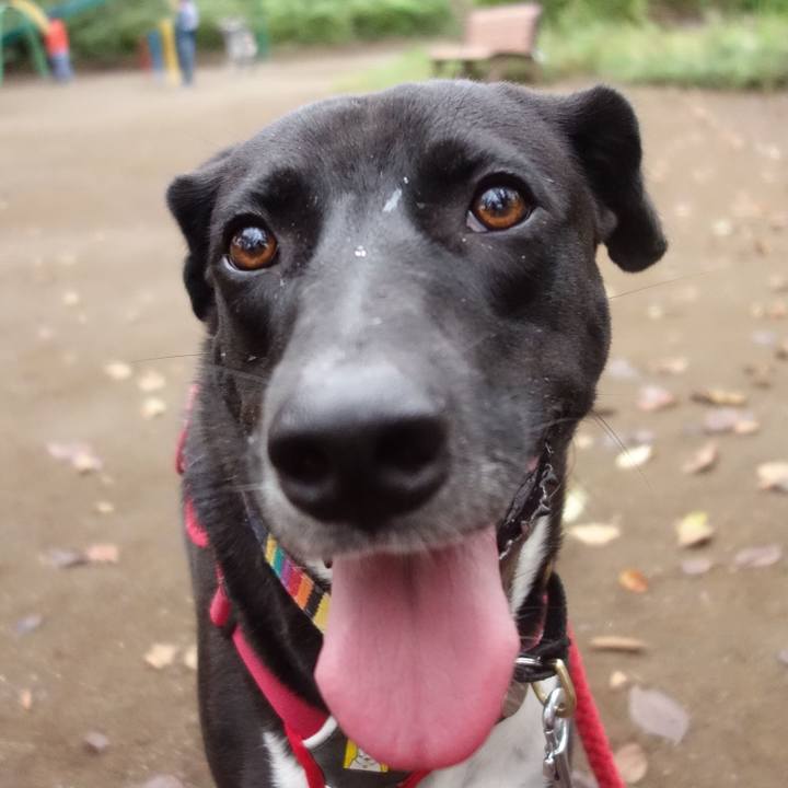 E8cc5d31 f292 4a86 86db 7ba15867d426 1602719239525