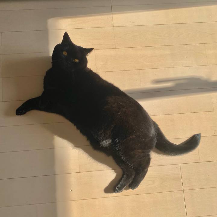 E8cc75cb fb42 4e38 aed5 f980a2835bb8 1774335929863