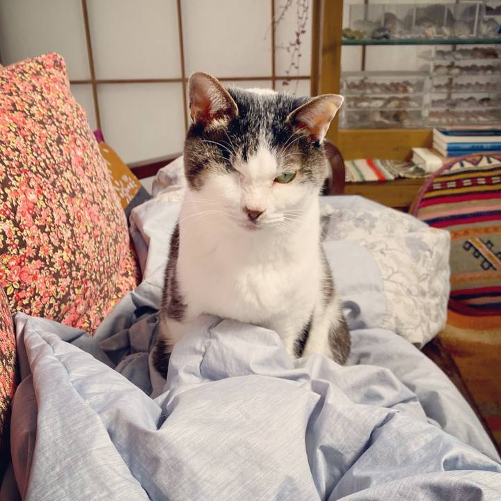 E8cc8105 f81e 4277 b9e1 c0843f001e91 1614397129689