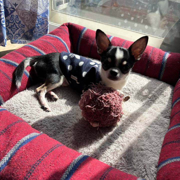 E8cc8dd6 864a 466b 86cb 78c23f55a5c9 1762500608629