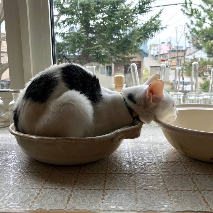 E8ccaf2b f23a 4ad8 b05f 3bc25fa554b4 1525417032955