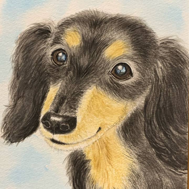 E8ccd5d8 9006 41b3 b4b2 675756a4b2cb 1698658769192