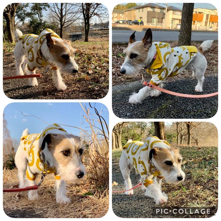 E8cd0718 178f 46b9 9da8 92f3916c12db 1610008035548