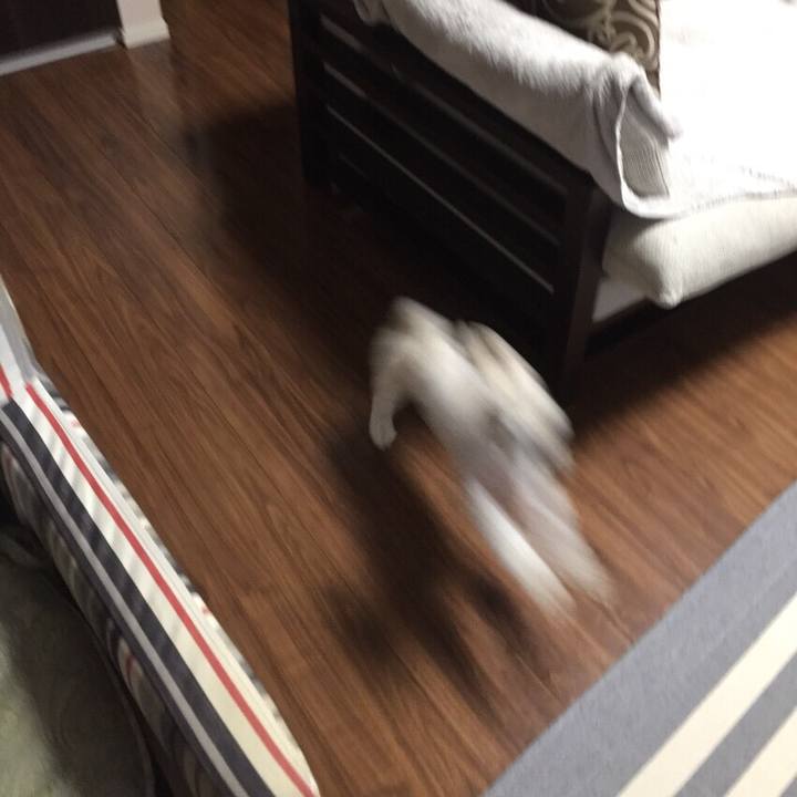 E8cd171a ba0f 4f82 aba6 be551e6f3536 1511781215468