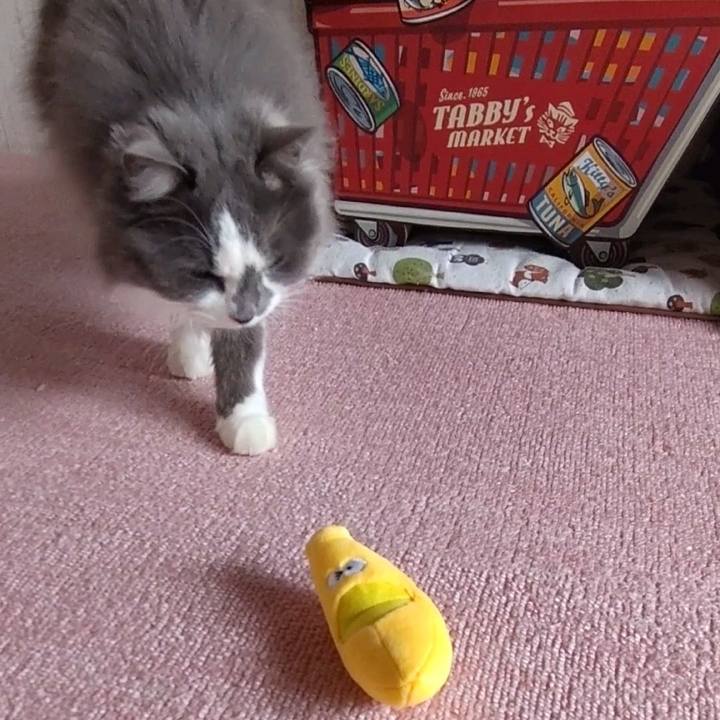 E8cd318c 206e 40b1 9c1d e81dd777e749 1650692963556