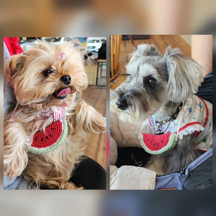 E8cd3f62 fc06 4c63 aec5 5e9bbe9455ea 1754793608920