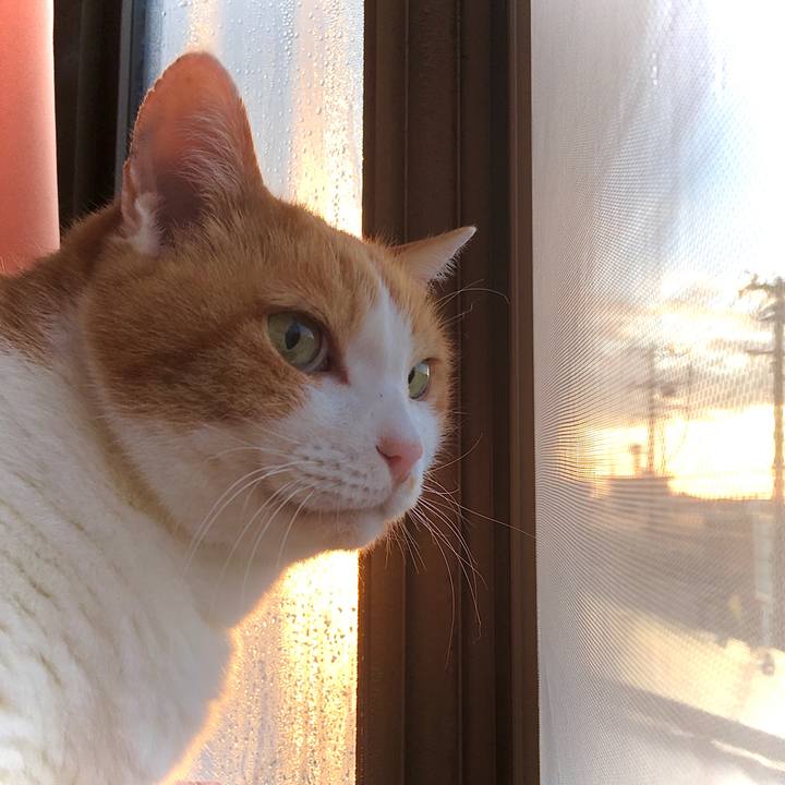 E8cd616b 0e3e 4134 84bb ece143023c47 1607484049919