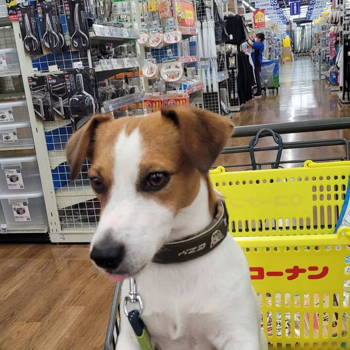 E8cd7045 18e1 4ea9 97f1 b4c227c3841c 1659585625437