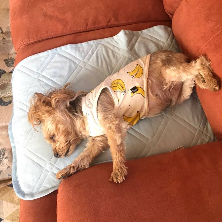 E8cda149 12f3 42e7 bf97 4eba76f6b374 1618651076034