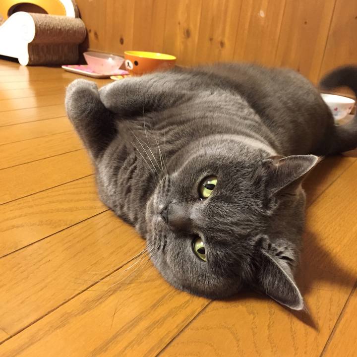 E8cdae9d afe5 4959 a1ae 727c76a5f38f 1512223737961