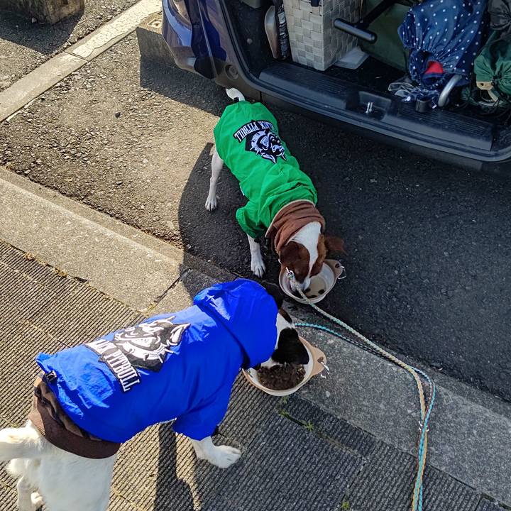 E8cdb692 3728 43ab bb11 1990503d3801 1682204264898