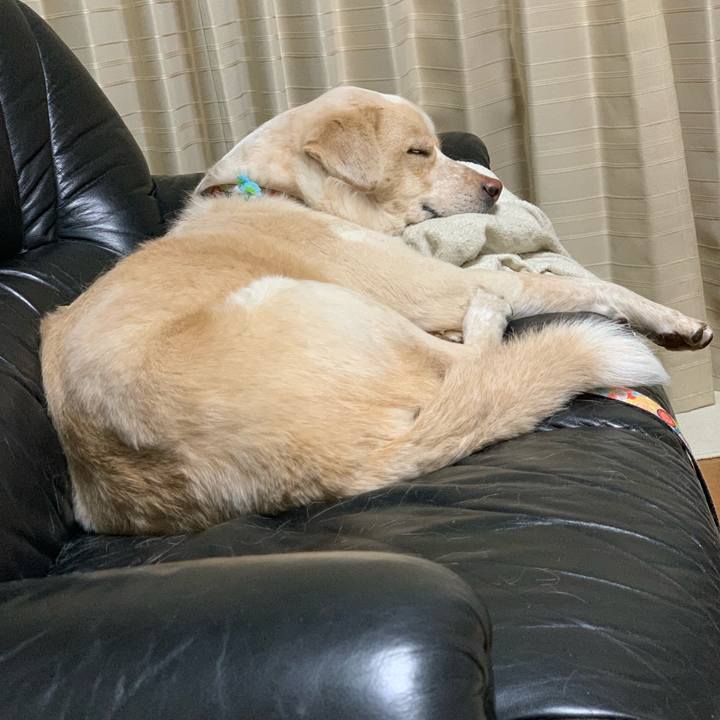 E8cdcfbe b7f8 418e 86e3 da802e8b2933 1553787657187