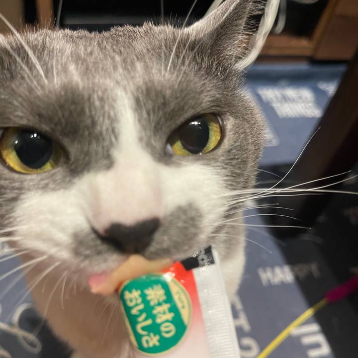 E8cde490 378b 4e8a 84c2 b02005e2b7a8 1719663696633