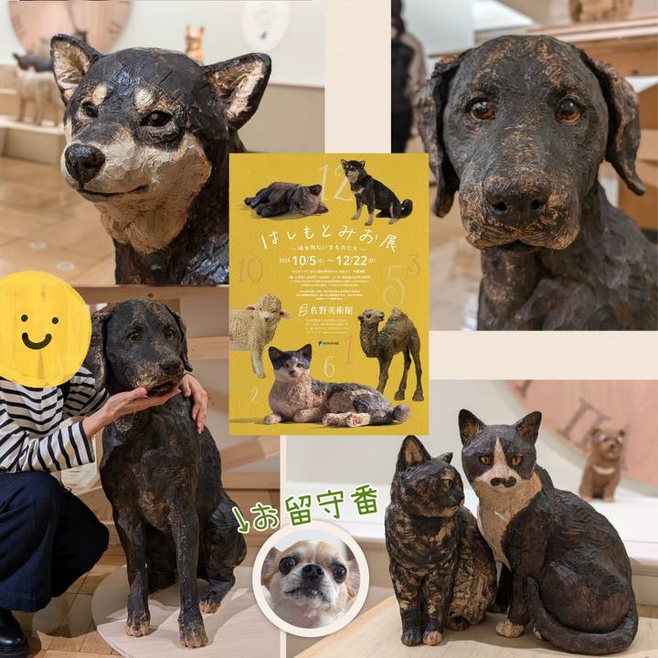 E8ce7858 85ff 45f4 bbdf a8fdd395f235 1730706117556