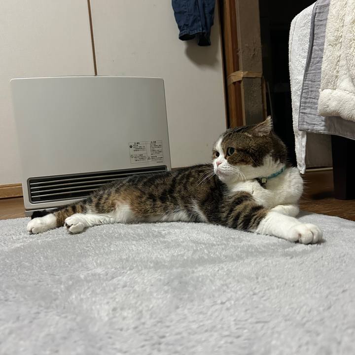 E8ce7e04 5164 4cd2 bfe1 9865de8a81c0 1773995620232