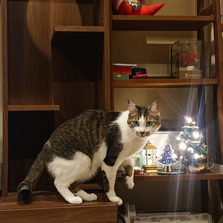 E8cf2526 84f2 4ed9 a94c b3d1f65abfe9 1702175471988