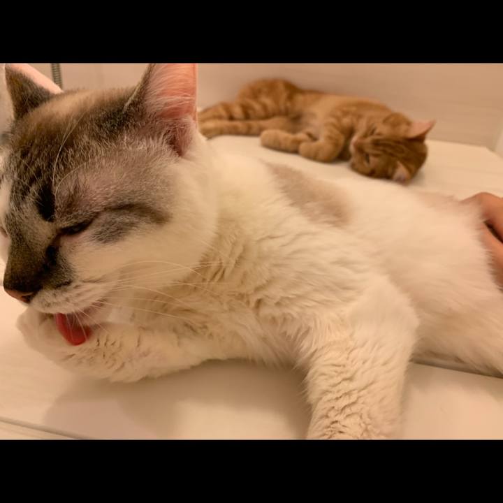 E8cf2c96 e36d 48f6 a63a 3fbbb037e9d1 1559964445916