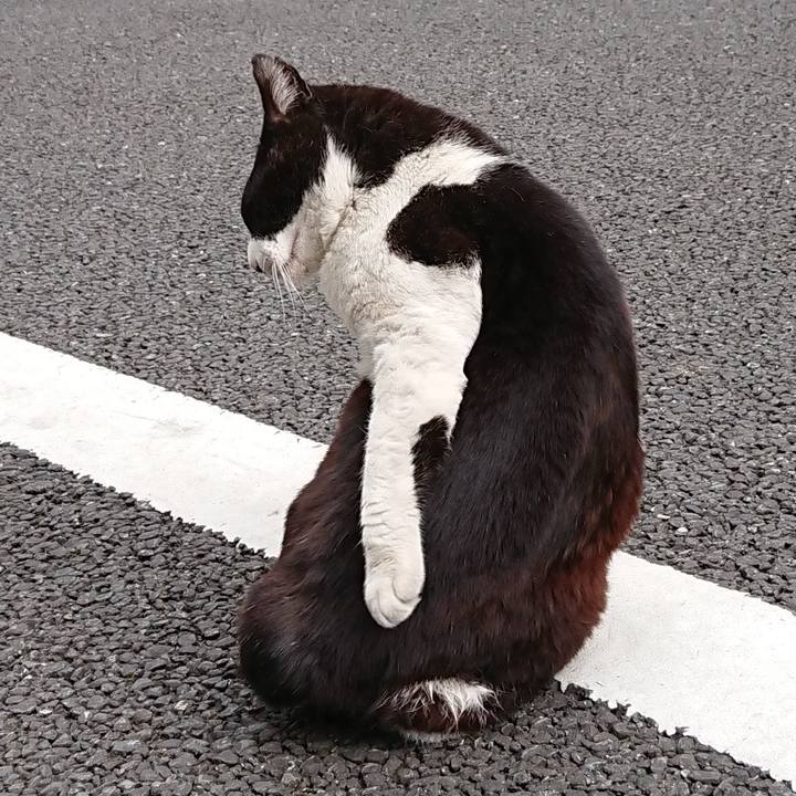 E8cf4579 6111 4ff9 a488 f9ea31c49b1b 1616212498399