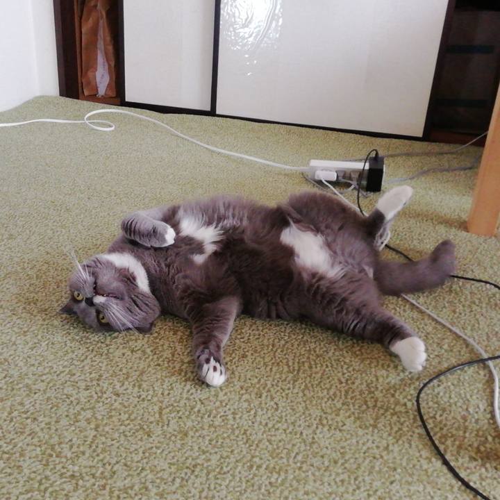 E8cf95a7 5a6c 4865 a898 bd0c8031fb60 1714955692129