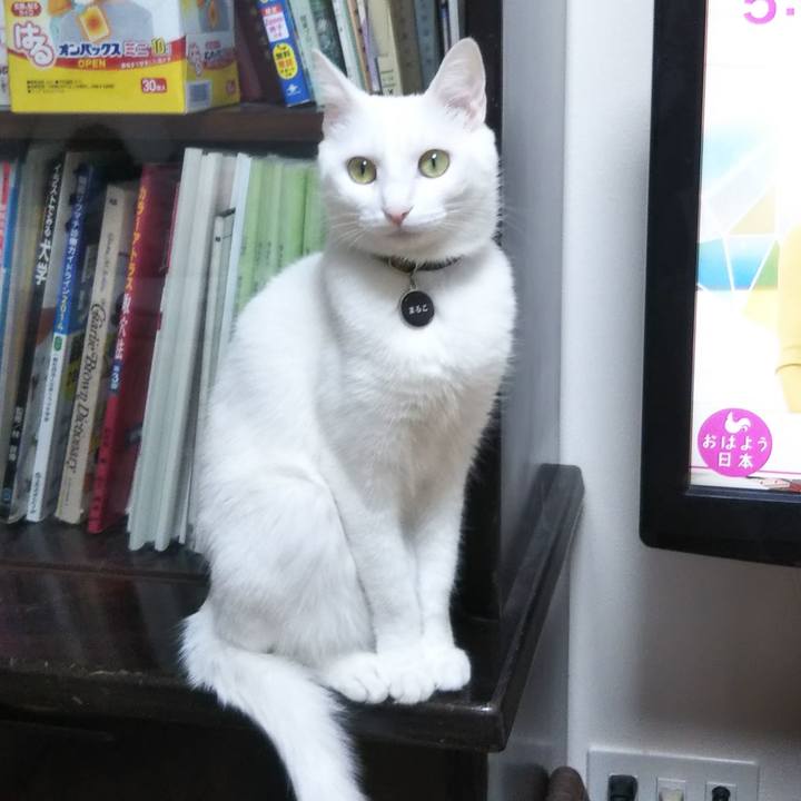 E8cfb6a2 7472 4eee 9a1b 84d26c113e5c 1639600418014