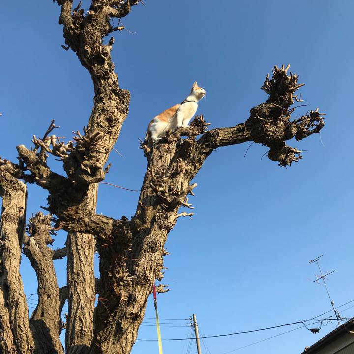 E8cfb9cd 8075 40ca bbad bf21da095b35 1520060757698