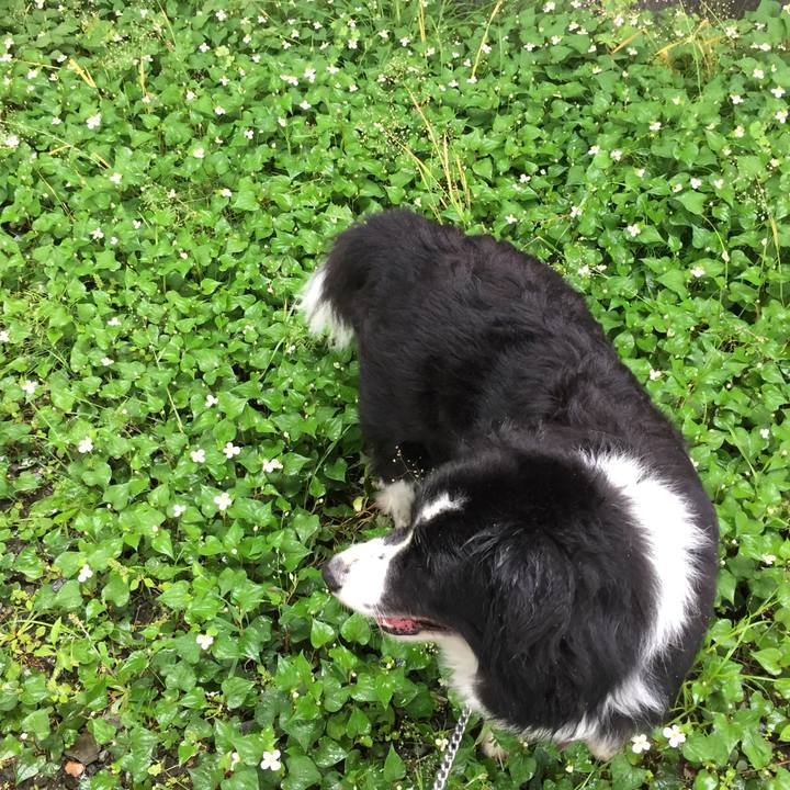 E8cfc3da b1ac 4c11 9715 819c3f83b121 1558227615036