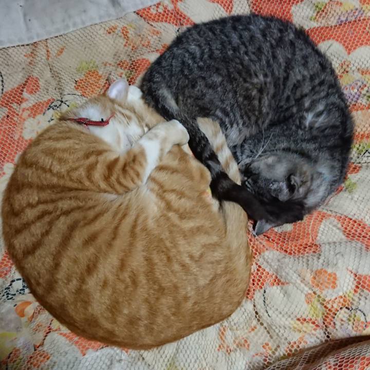 E8d02b0f e68b 4b13 84e1 099a1e8a91d0 1572962936145