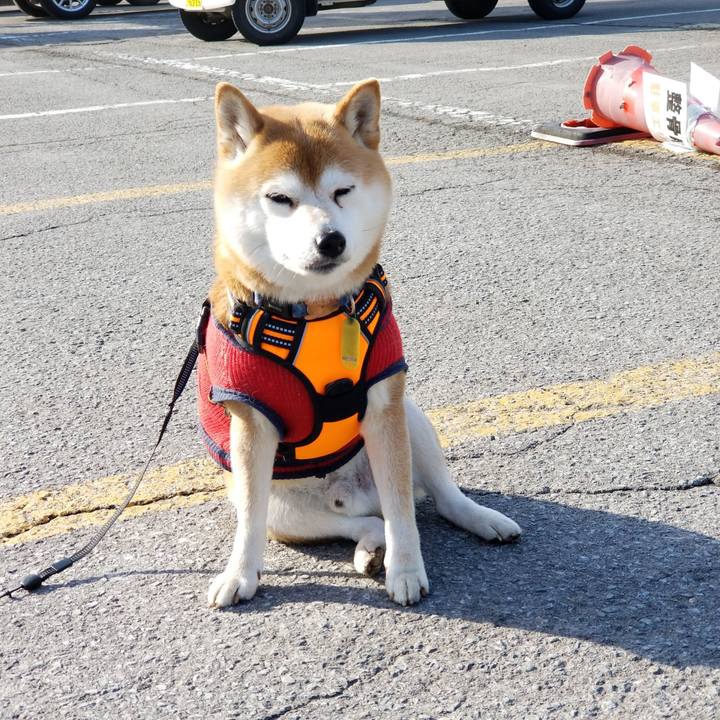 E8d03934 b3f6 47df 8966 f6c76ee76c54 1583043343410