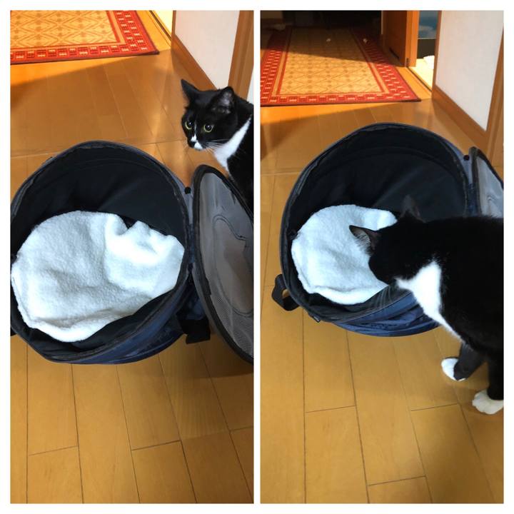 E8d08ef5 ebdd 4899 a4e8 169ad56ad7bf 1544825083582