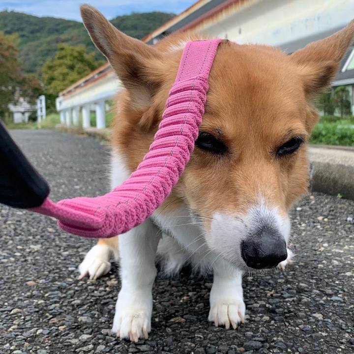 E8d0df05 05a4 4d1d aac7 038f1bb0a256 1696906836161